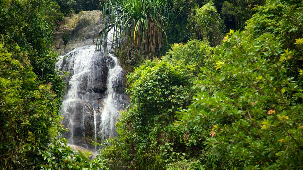 Koh Samui featuring a cascade, forests and landscape views