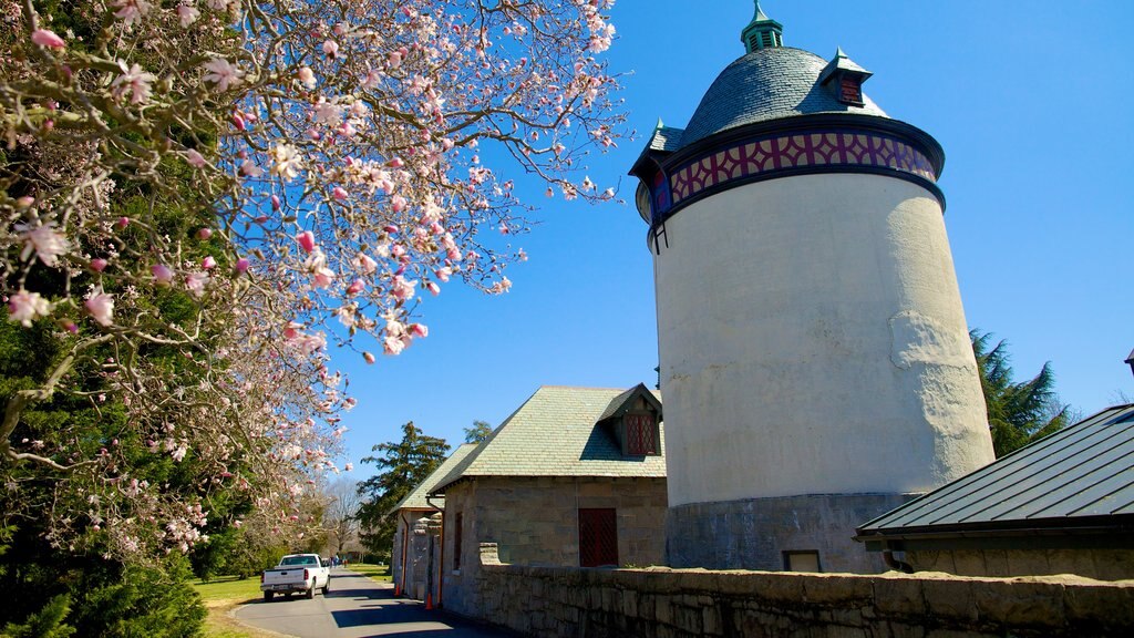 Maymont Park showing a garden and heritage architecture