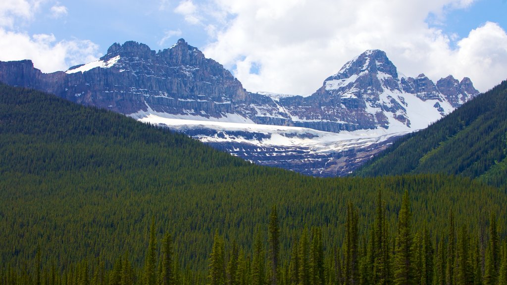 Columbia Icefield which includes landscape views, snow and mountains