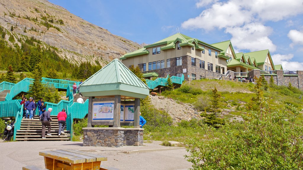 Columbia Icefield bevat bergen