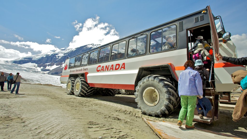 Columbia Icefield showing touring as well as a large group of people