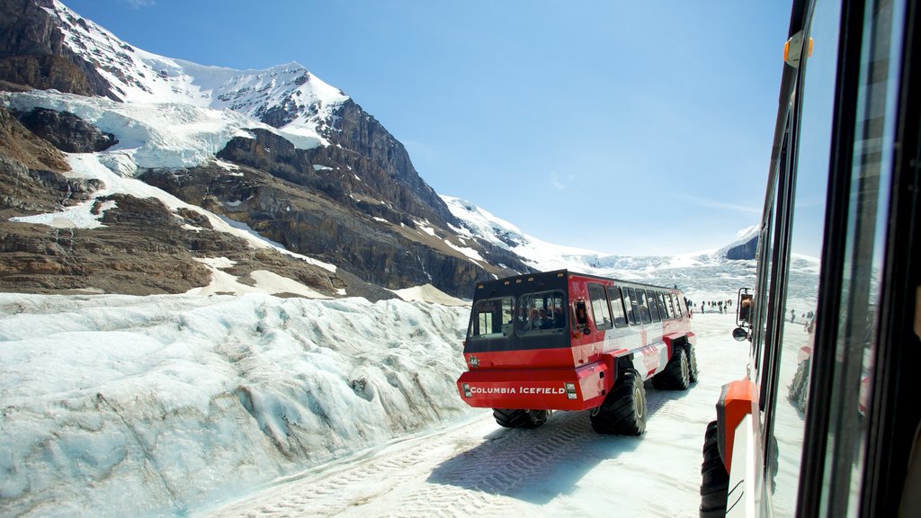 Columbia Icefield showing vehicle touring, mountains and landscape views