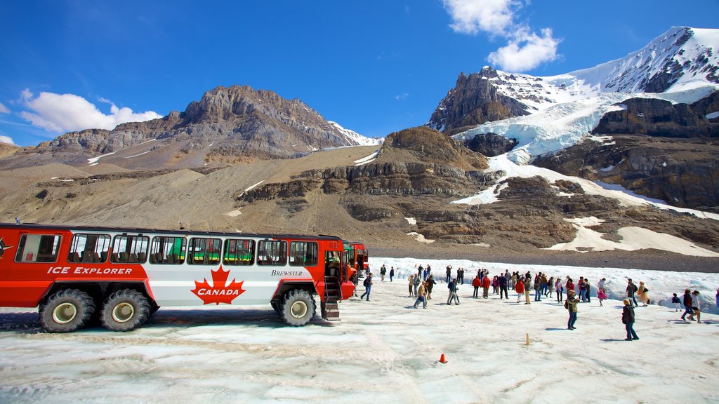 Columbia Icefield which includes snow, mountains and landscape views