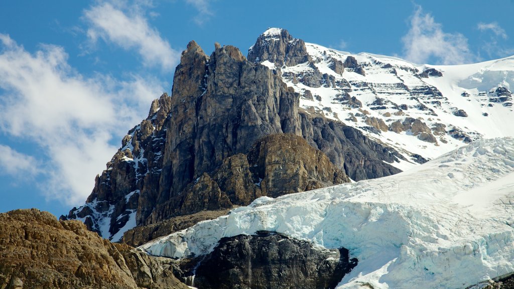 Columbia Icefield que incluye nieve, montañas y vistas de paisajes