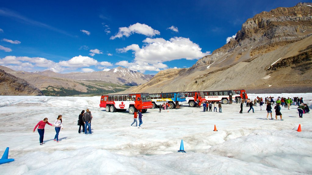 Columbia Icefield toont landschappen en sneeuw en ook een grote groep mensen