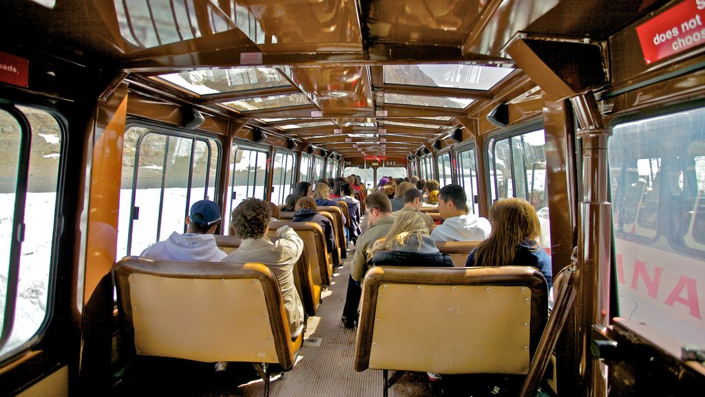 Columbia Icefield showing interior views as well as a large group of people