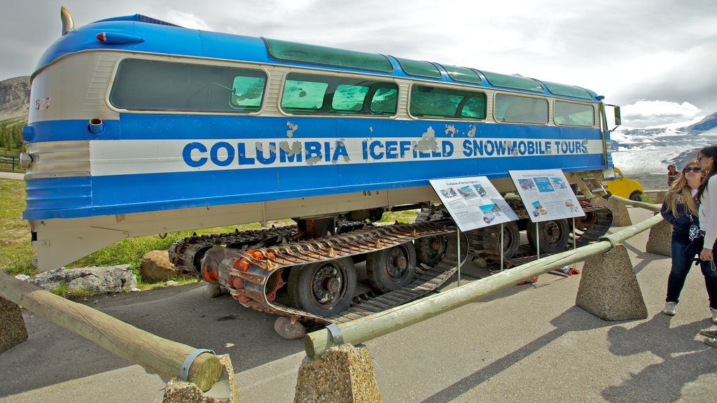 Columbia Icefield