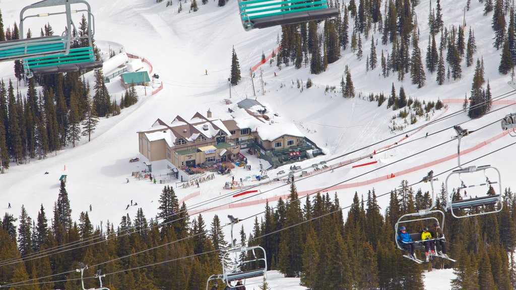 Marmot Basin johon kuuluu vuoret, lunta ja hiihto