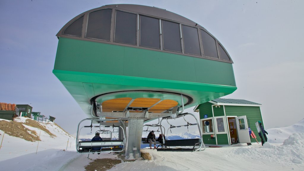 Marmot Basin showing a gondola and snow