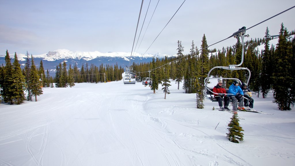 Marmot Basin mostrando nieve, vista panorámica y ski en la nieve