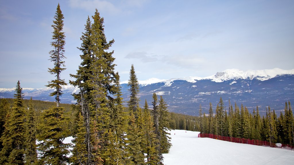 Marmot Basin featuring snow, landscape views and mountains