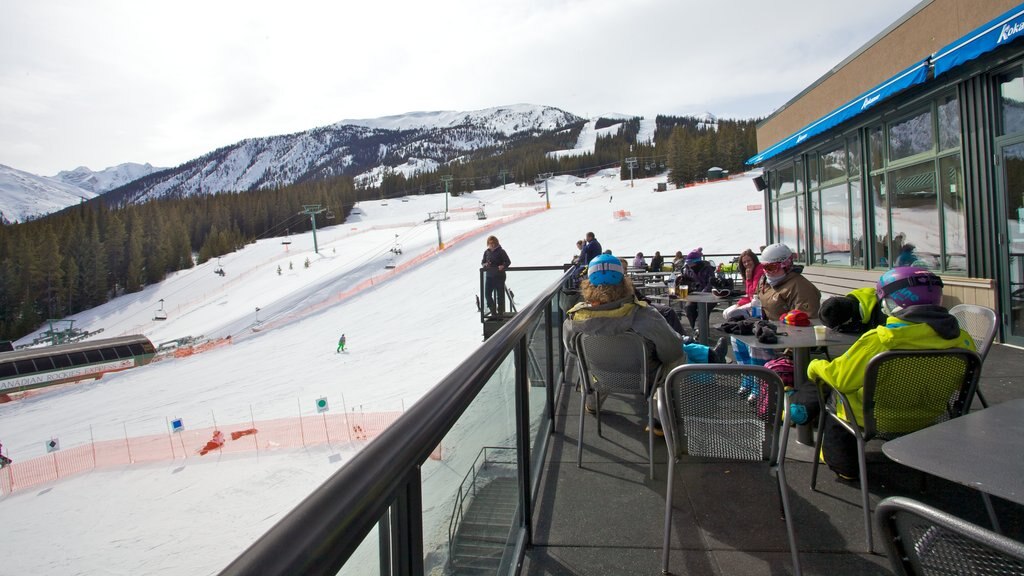 Marmot Basin mettant en vedette vues, montagnes et neige