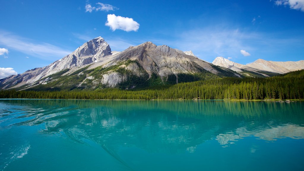 Maligne Lake featuring landscape views and mountains