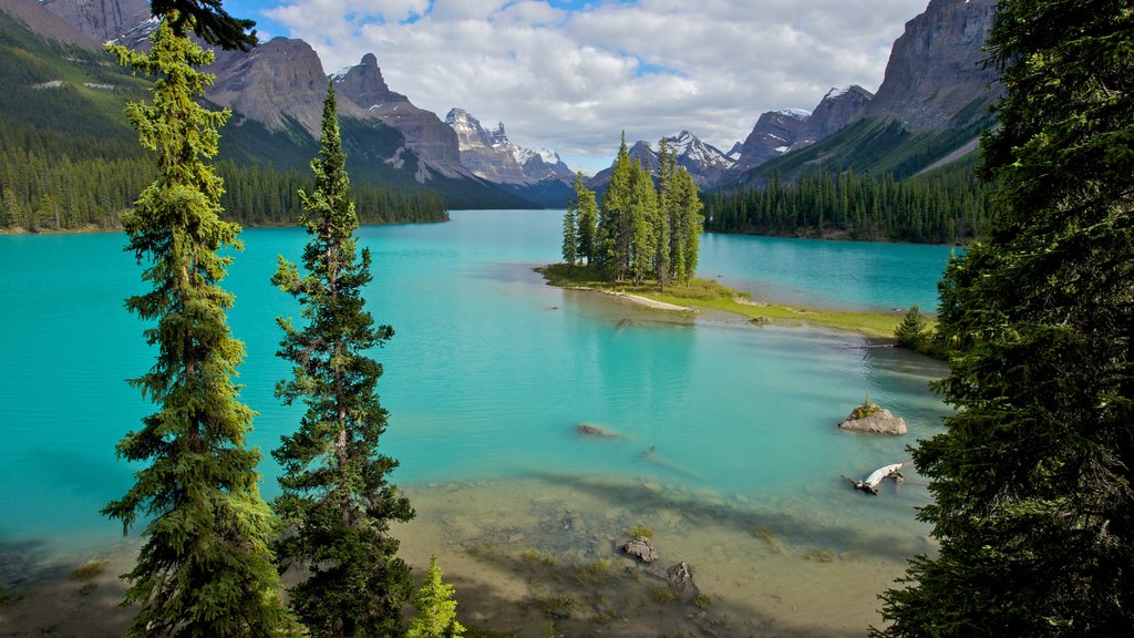 Maligne Lake que incluye vistas de paisajes y un lago o abrevadero