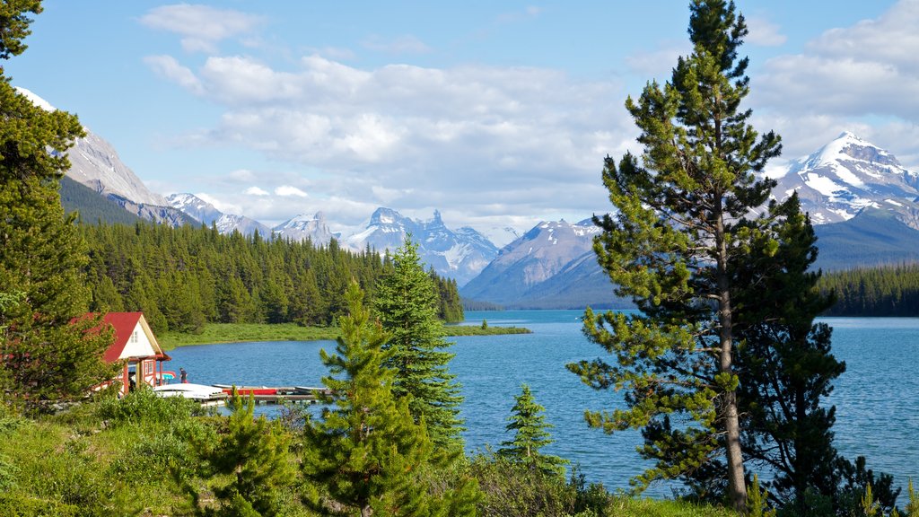 Maligne Lake bevat bergen, een meer of poel en landschappen