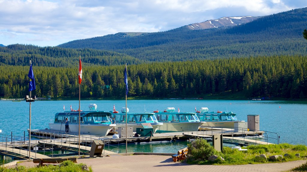 Maligne Lake featuring a lake or waterhole, landscape views and forest scenes