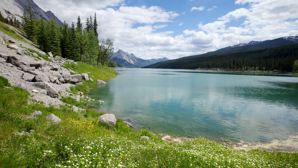 Lac Medecine qui includes un lac ou un point d’eau, montagnes et paysages