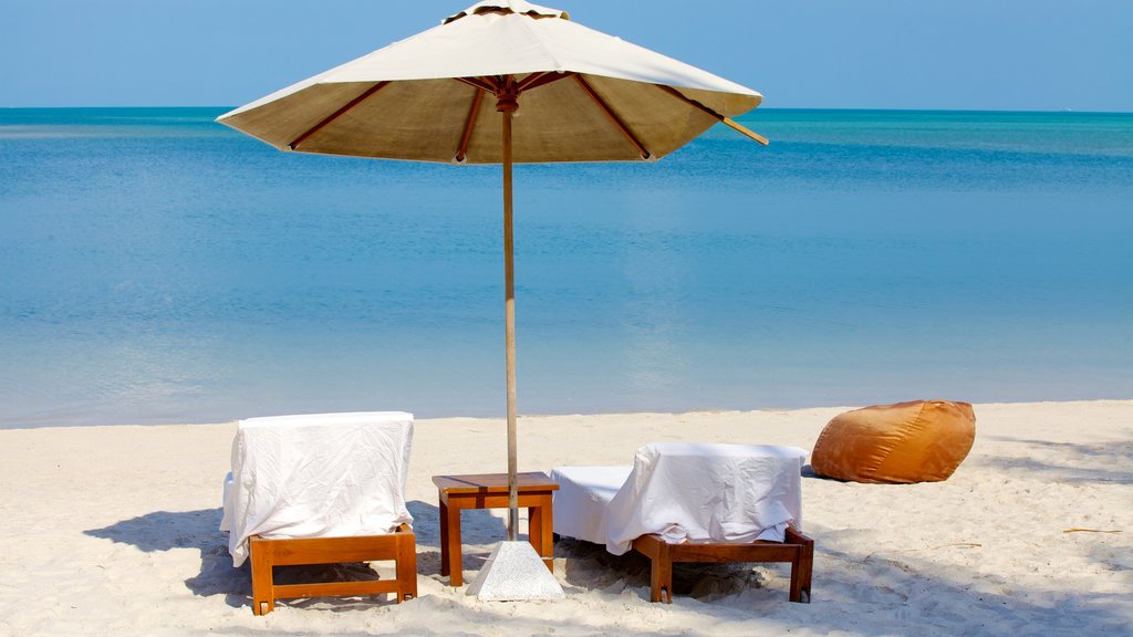 Pangka Beach showing tropical scenes and a beach