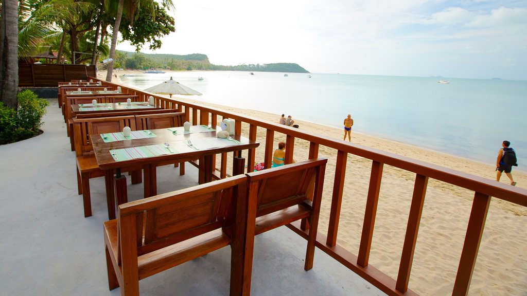 Bangrak Beach which includes tropical scenes and a sandy beach