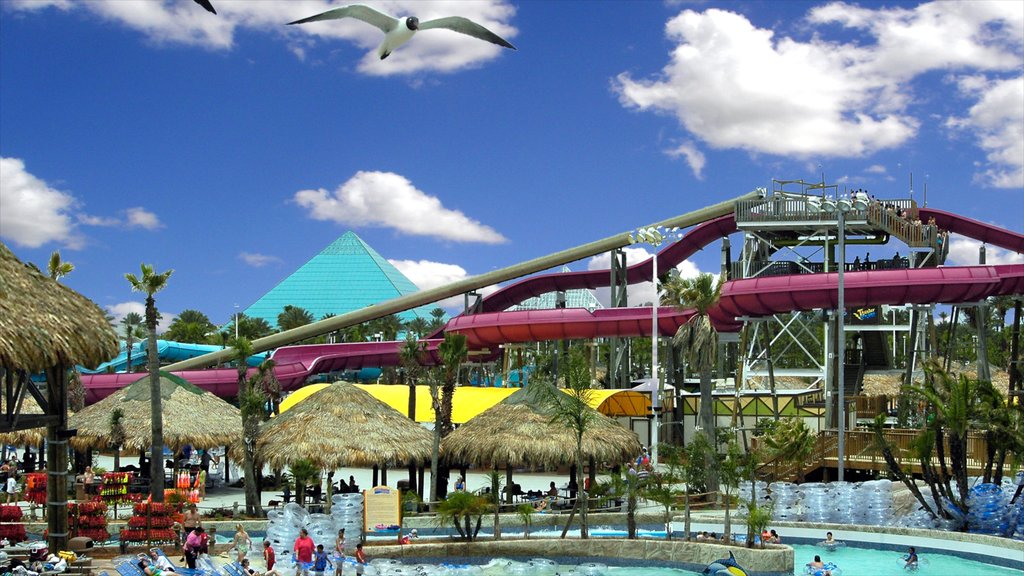 Galveston Schlitterbahn Waterpark mostrando passeios, um parque aquático e uma piscina