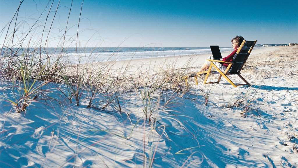 Hilton Head toont een zandstrand en algemene kustgezichten en ook een vrouw