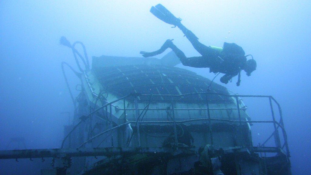 Pensacola Beach which includes diving as well as an individual male