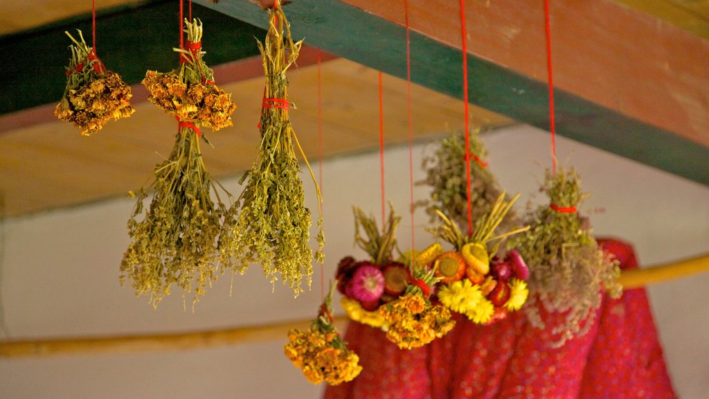 Ukrainian Cultural Heritage Village showing interior views