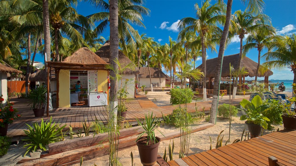 Playa Norte mostrando una pequeña ciudad o aldea, escenas tropicales y vista general a la costa