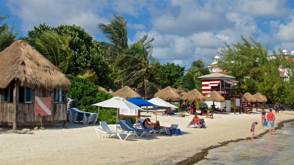 Las Perlas Beach showing general coastal views, tropical scenes and a beach