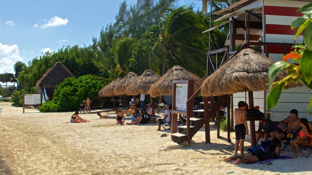 Playa las Perlas ofreciendo vista general a la costa, escenas tropicales y una playa de arena