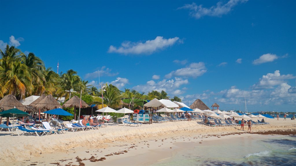 Praia Norte que inclui paisagens litorâneas, uma praia e cenas tropicais