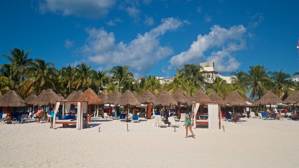 Norte Beach showing general coastal views, tropical scenes and a beach