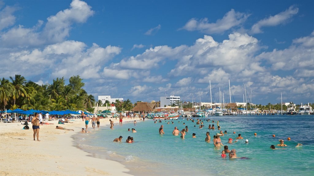 Norte Beach showing swimming, a beach and tropical scenes