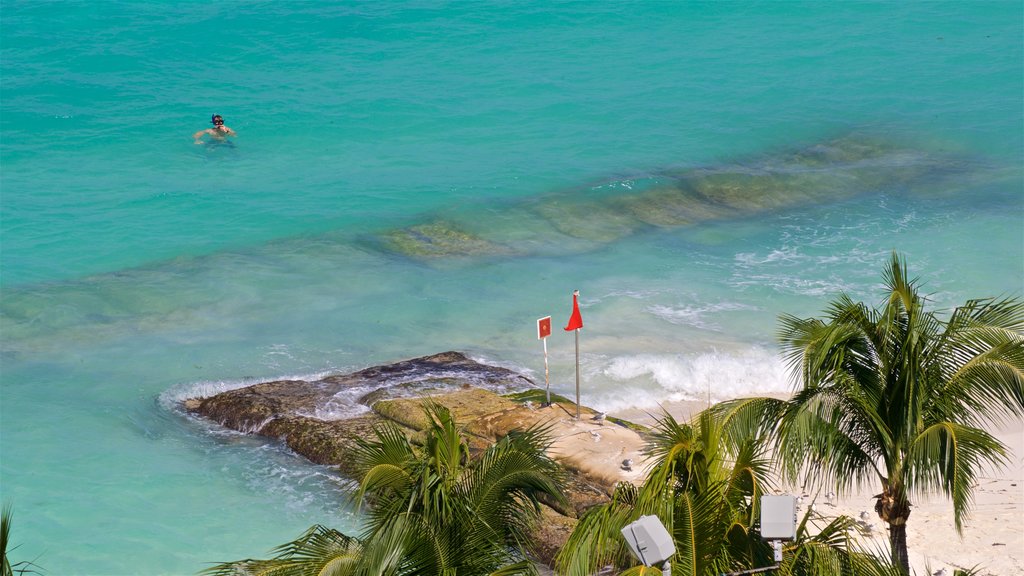 Cancún som viser udsigt over kystområde, tropiske områder og en sandstrand