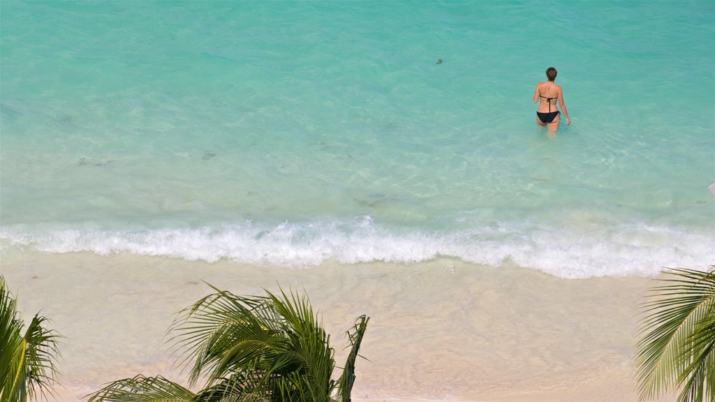 Cancun featuring a sandy beach, tropical scenes and general coastal views