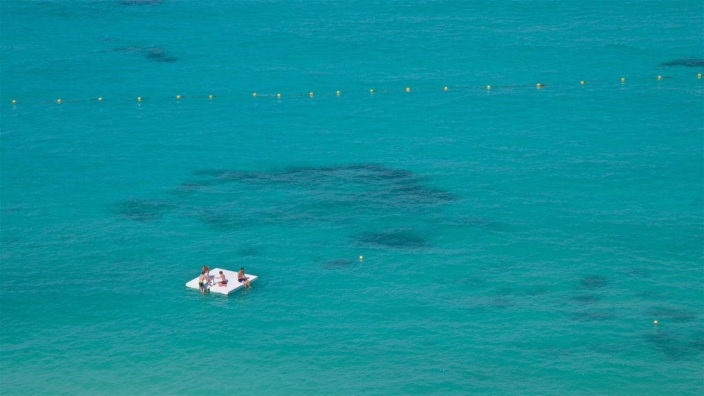 Cancún ofreciendo vistas panorámicas, vistas de una costa y escenas tropicales