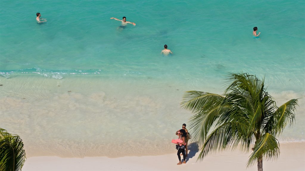 Cancun showing general coastal views, a sandy beach and swimming