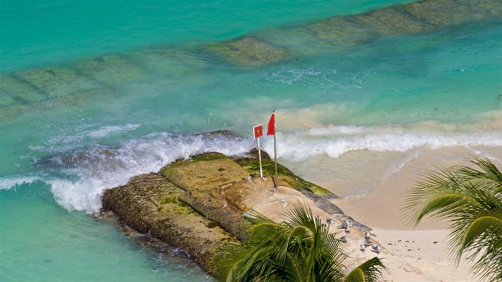 Cancun which includes a beach, tropical scenes and general coastal views