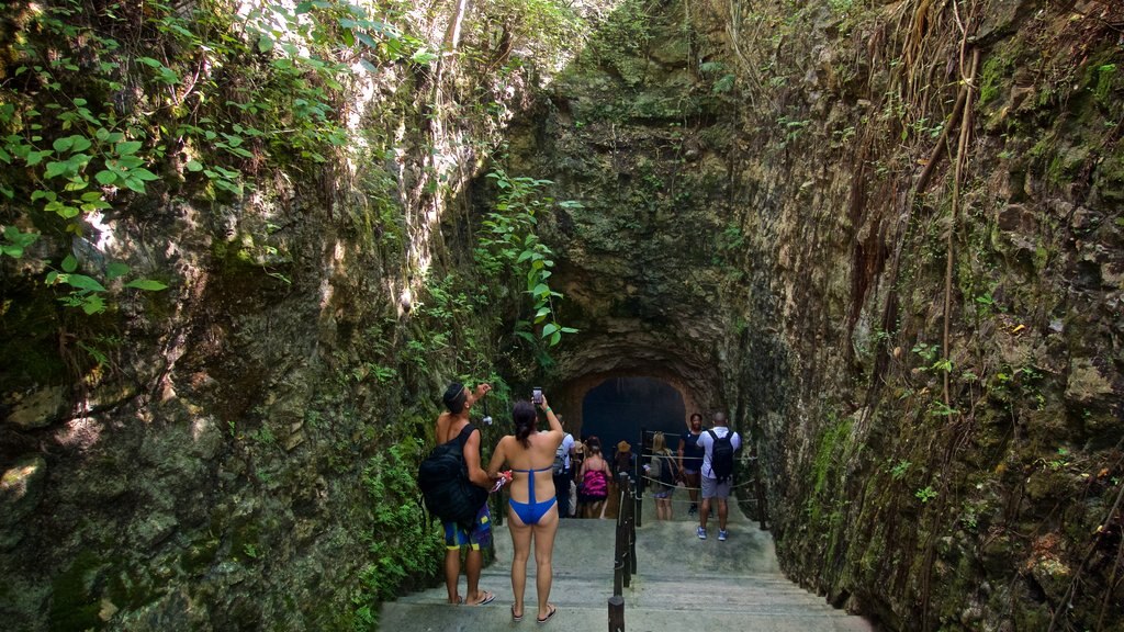 Cancún welches beinhaltet Wälder sowie kleine Menschengruppe