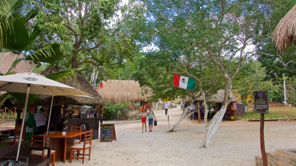 Cancun which includes a beach, a beach bar and tropical scenes