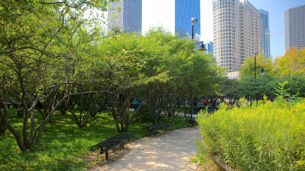 Chicago showing a city and a garden