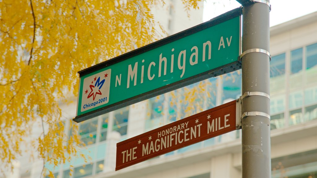 Downtown Chicago which includes signage