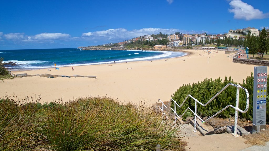 Coogee Beach showing a sandy beach, a coastal town and general coastal views