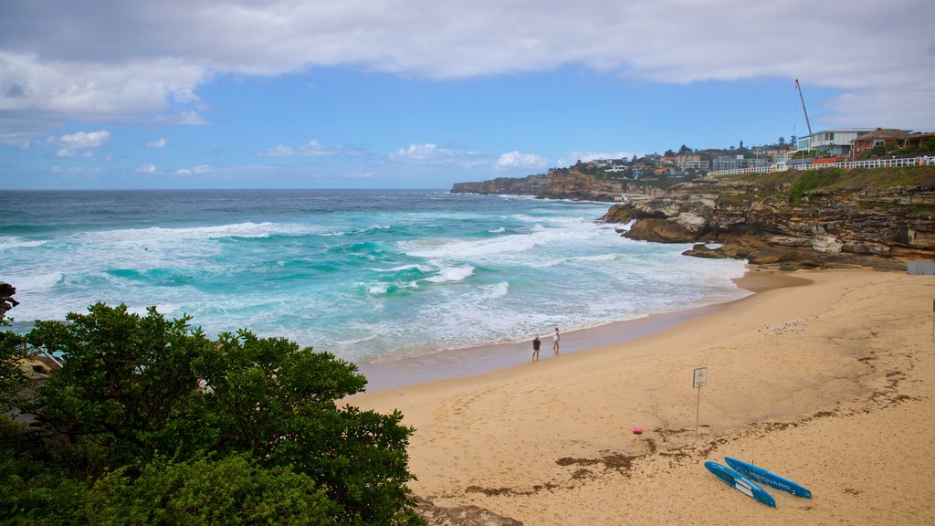 Playa de Tamarama que incluye una playa, vistas generales de la costa y una ciudad costera