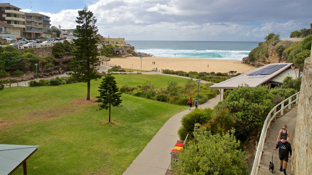 Tamarama Beach showing a garden, a coastal town and hiking or walking