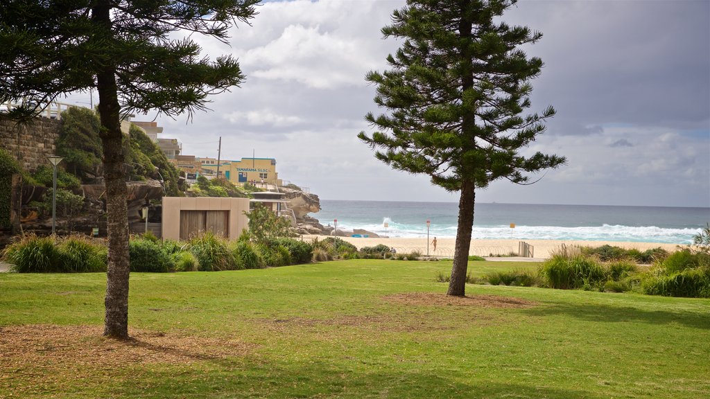 Tamarama Beach showing general coastal views and a garden