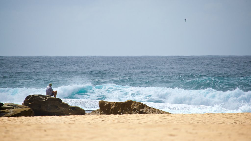 Tamarama Beach showing general coastal views and a sandy beach as well as an individual male