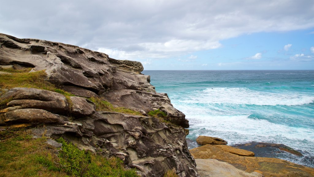 Tamarama Beach showing general coastal views and rugged coastline