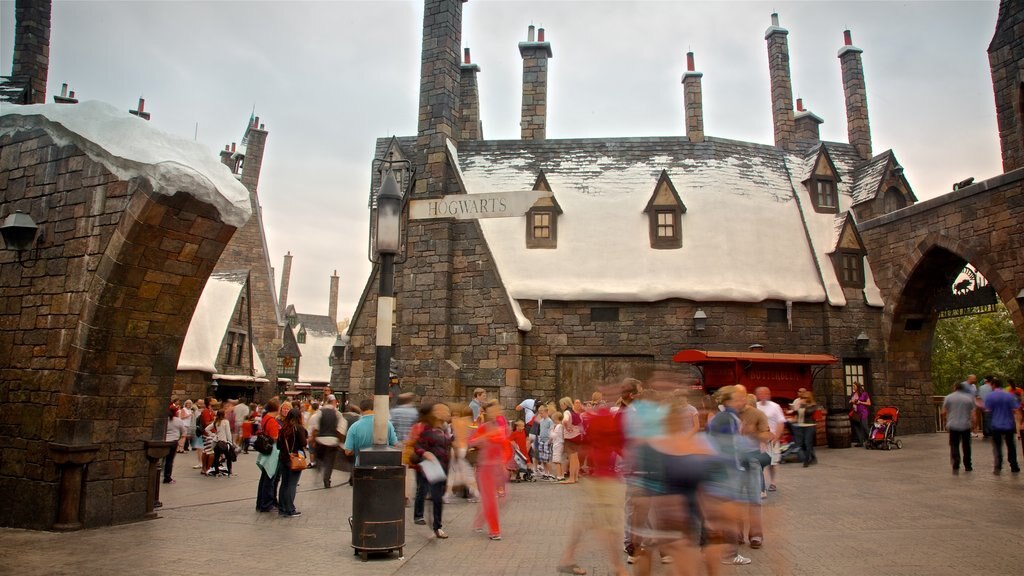 The Wizarding World of Harry Potter™ which includes rides as well as a small group of people