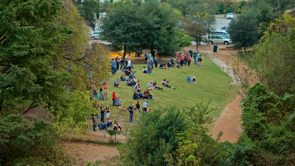 Ann W. Richards Congress Avenue Bridge showing a garden as well as a small group of people